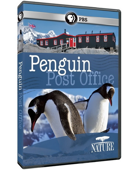 Nature: Penguin Post Office