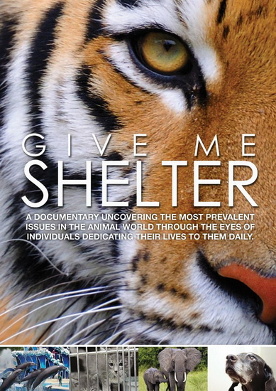 Give Me Shelter - RIZZO KRISTIN
