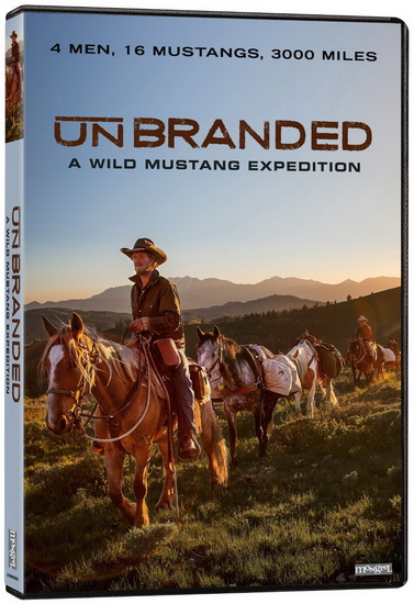 Unbranded - PHILLIP BARIBEAU