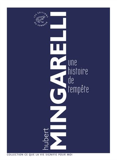 Une tempête - HUBERT MINGARELLI