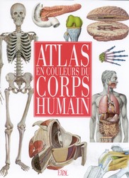 Atlas en couleurs du corps humain - COLLECTIF