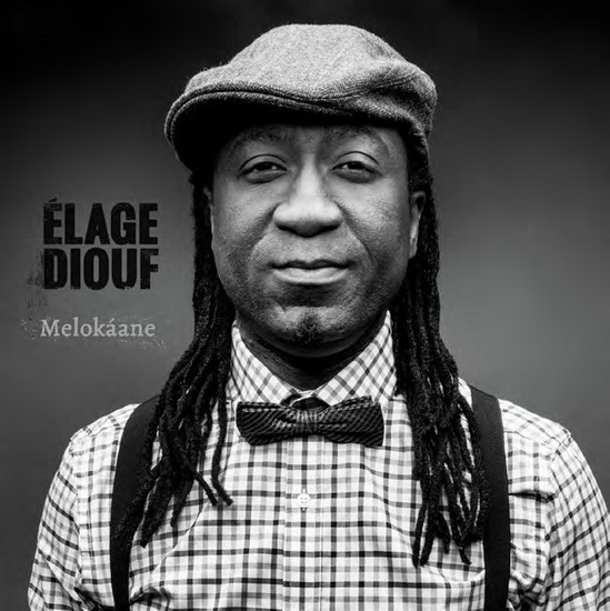 Melokaane - DIOUF ÉLAGE