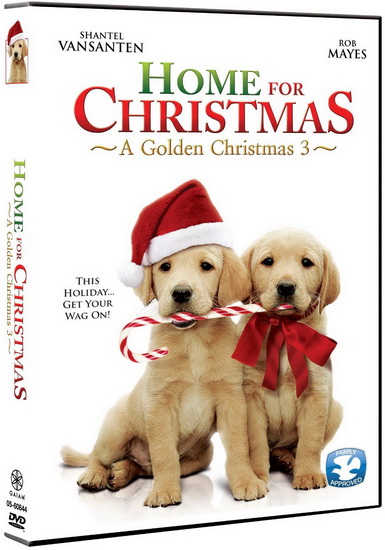 Home For Christmas: A Golden Christmas 3 - FEIFER MICHAEL