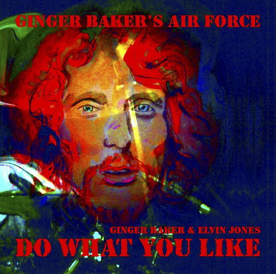 Do What You Like - BAKER GINGER