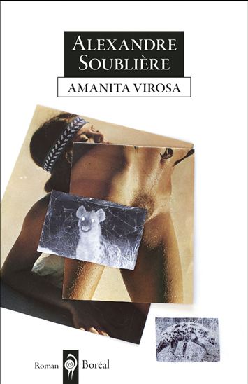 Amanita Virosa - ALEXANDRE SOUBLIÈRE