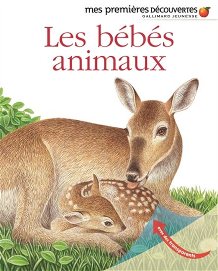 Les Bébés animaux - COLLECTIF