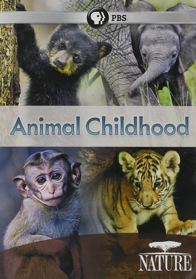 Nature: Animal Childhood