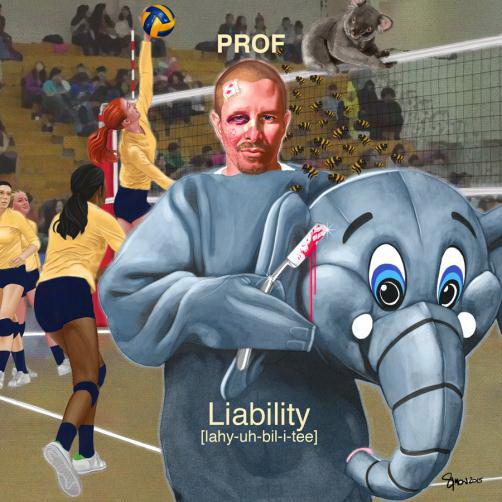 Liability - PROF