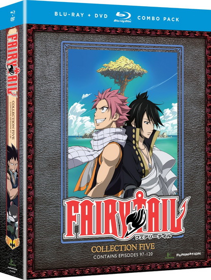 Fairy Tail: Collection 5 (Blu-Ray+Dvd) - 