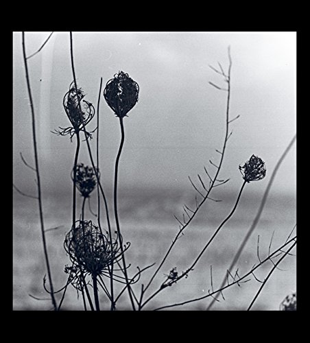 Placid (2CD) - RECONDITE