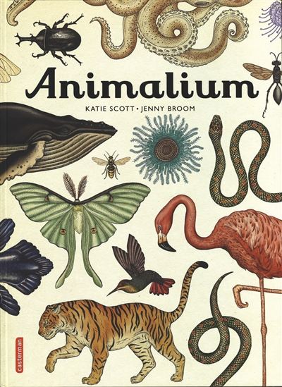 Animalium - JENNY BROOM - KATIE SCOTT