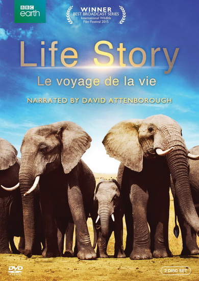 Life Story