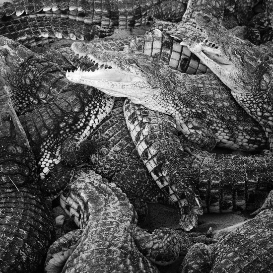 Like Water Through Sand - LEVIENAISE-FARROUCH EMILIE