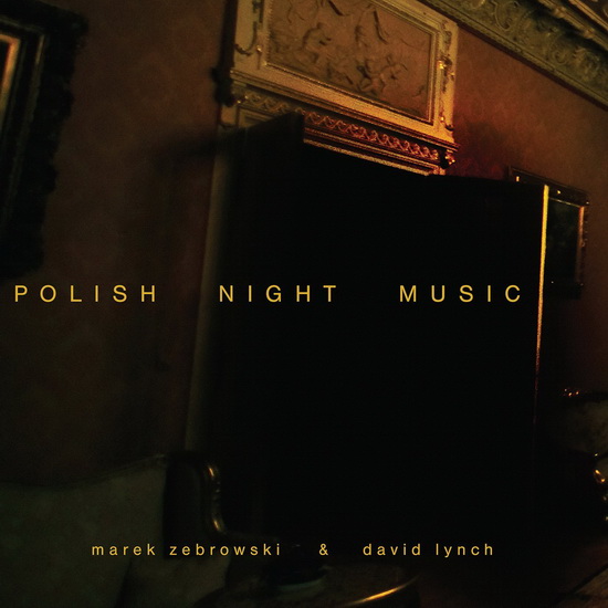 Polish Night Music (2Vinyl) - LYNCH DAVID & MAREK ZEBROWSKI