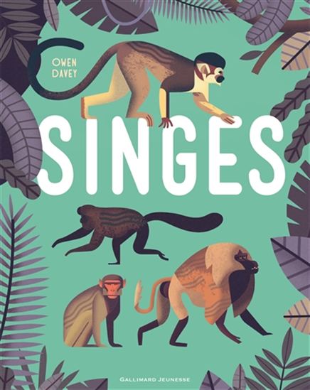 Singes - OWEN DAVEY