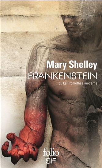 Frankenstein ou le Prométhée moderne N. éd. - MARY SHELLEY