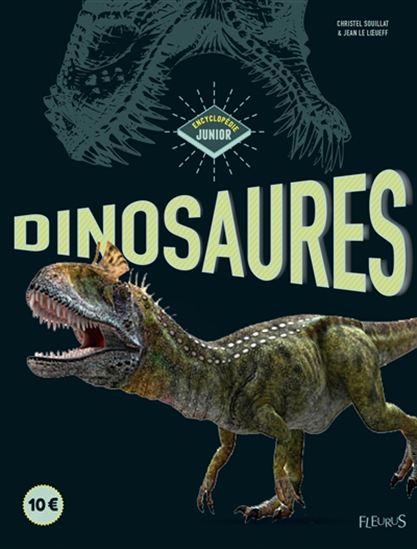 Dinosaures N. éd. - CHRISTEL SOUILLAT - JEAN LE LOEUFF