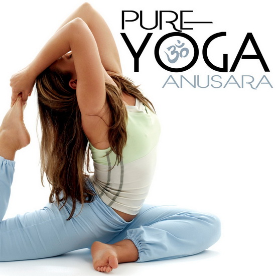 Pure Yoga Anusara - STUDIO MASTERS