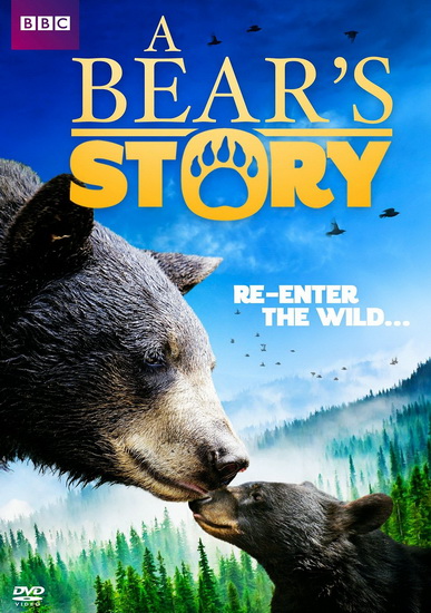 A Bears Story: Spirit's Adventure