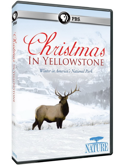 Nature: Christmas In Yellowstone