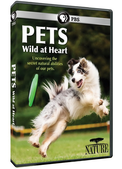 Nature: Pets: Wild At Heart