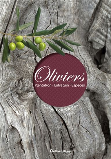 Oliviers - MICHEL COURBOULEX