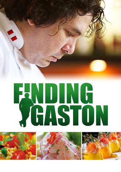 Finding Gaston - PEREZ PATRICIA