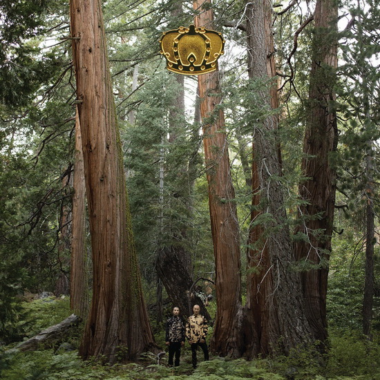 Stand Up And Speak (Vinyl) - DJDS