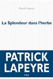 La Splendeur dans l'herbe - PATRICK LAPEYRE