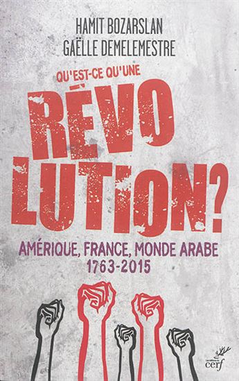 Qu'est-ce qu'une révolution ? : Amérique, France, monde arabe : 1763-2015 - HAMIT BOZARSLAN - GAËLLE DEMELEMESTRE
