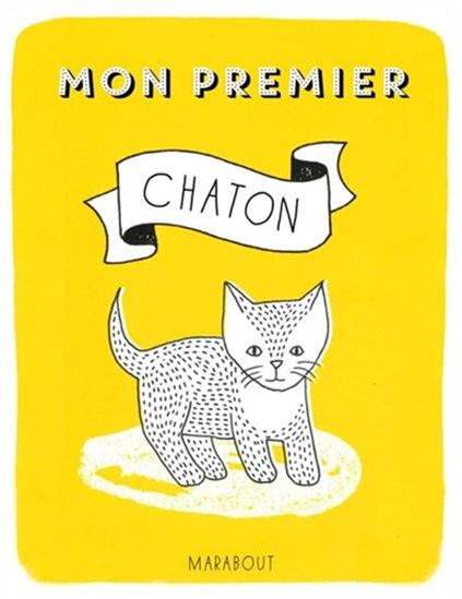 J&#39;apprends à m&#39;occuper d&#39;un chaton - HELEN PIERS - KATE SUTTON