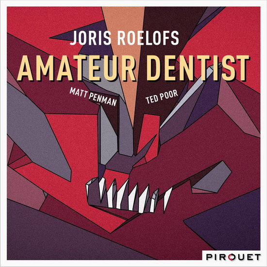 Amateur Dentist - ROELOFS JORIS