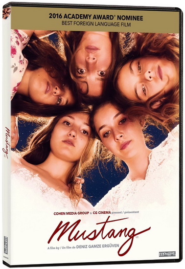 Mustang - ERGUVEN DENIZ GAMZE