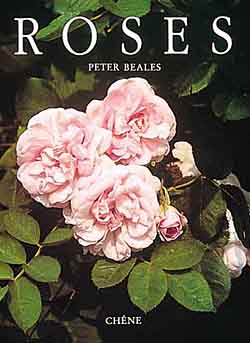 Roses - PETER BEALES
