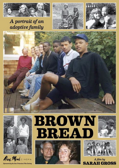 Brown Bread: The Story of an Adoptive Family - GROSS SARAH