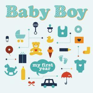 BABY BOY:MY FIRST YEAR