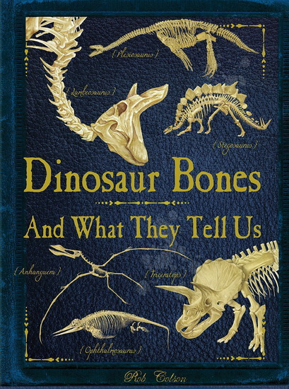 Dinosaur bones - ROB COLSON