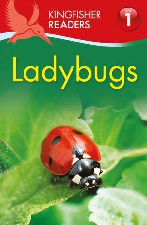 Ladybugs - THEA FELDMAN