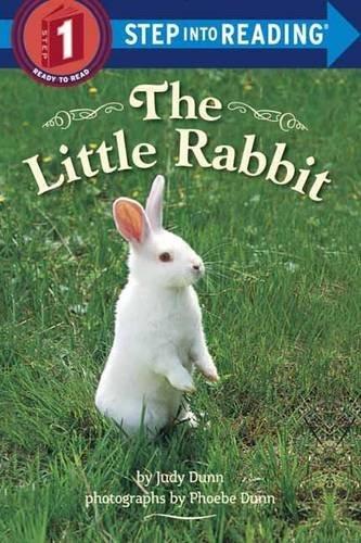 The little rabbit - JUDY DUNN
