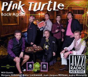 Pink Turtle: Back Again... - PINK TURTLE