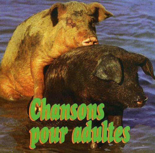 Chansons Pour Adultes - COMPILATION