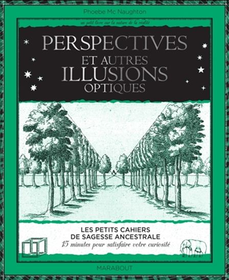 Perspective et illusions d&#39;optique - PHOEBE MCNAUGHTON