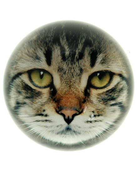 Presse-papier visage chat