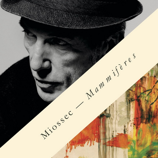 Mammifères - MIOSSEC