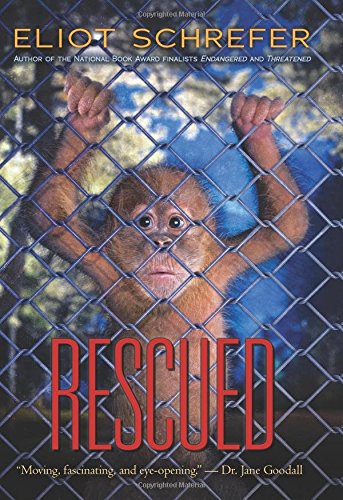 Ape quartet #3:rescued - ELIOT SCHREFER
