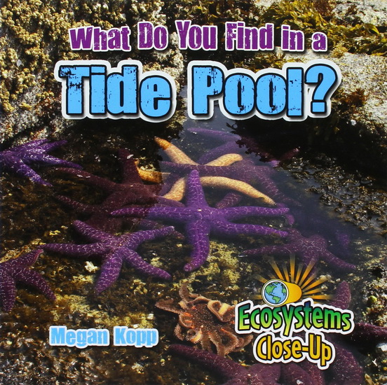 What do you find in a tide poo - MEGAN KOPP
