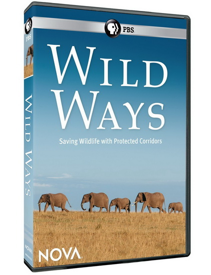 Nova: Wild Ways