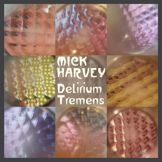 Delirium Tremens (Vinyl) - HARVEY MICK