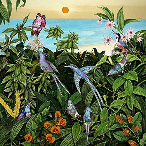 Sketches From An Island 2 - BARROTT MARK