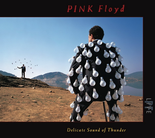 Delicate Sound Of Thunder (Live) - PINK FLOYD